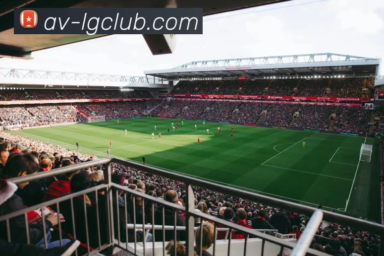 老哥俱乐部官网服务体系